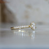 LOTUS / 0.82ct ROUND DIAMOND 6 CLAW PAVE BAND